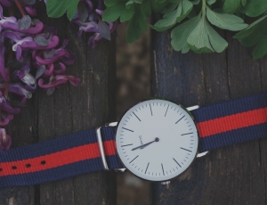 round ble and red strapped watch on brown wooden table with plants beside it thumbnail